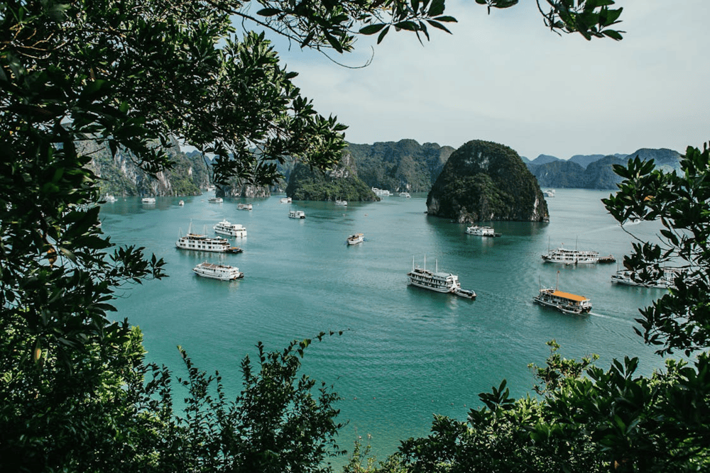 More than just a scenic wonder, Ha Long Bay is home to the largest limestone island system in Asia (Source: Pexels)